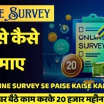 Online Survey se paise kaise kamaye